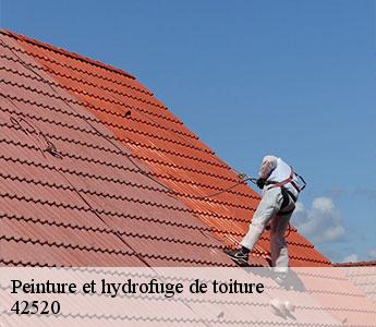 Peinture et hydrofuge de toiture 42520