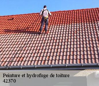 Peinture et hydrofuge de toiture 42370