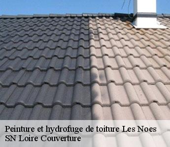Peinture et hydrofuge de toiture