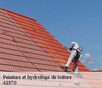 Peinture et hydrofuge de toiture 42370