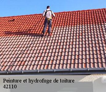 Peinture et hydrofuge de toiture  42110