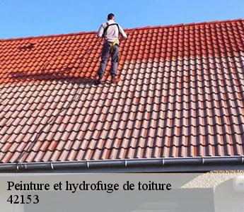 Peinture et hydrofuge de toiture 42153