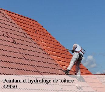 Peinture et hydrofuge de toiture 42330