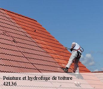 Peinture et hydrofuge de toiture  42136