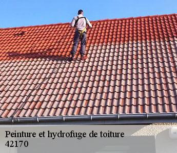Peinture et hydrofuge de toiture  42170