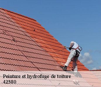 Peinture et hydrofuge de toiture 42380