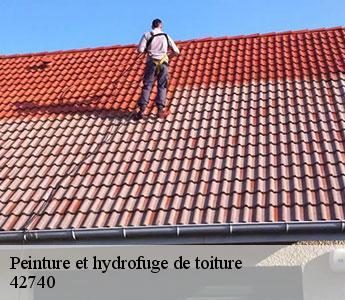 Peinture et hydrofuge de toiture  42740