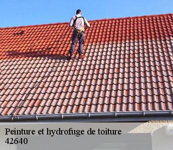 Peinture et hydrofuge de toiture 42640