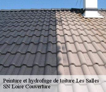 Peinture et hydrofuge de toiture