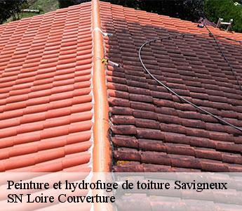 Peinture et hydrofuge de toiture savigneux-42600 SN Loire Couverture