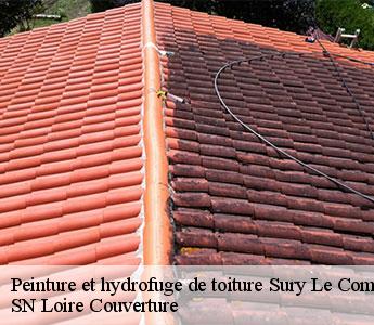 Peinture et hydrofuge de toiture sury-le-comtal-42450 SN Loire Couverture