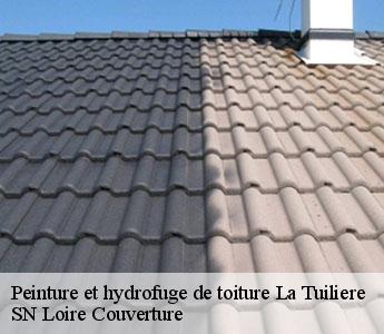 Peinture et hydrofuge de toiture