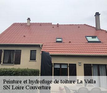 Peinture et hydrofuge de toiture  42111