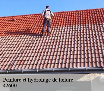 Peinture et hydrofuge de toiture 42600