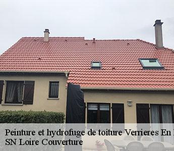 Peinture et hydrofuge de toiture 42600
