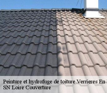 Peinture et hydrofuge de toiture