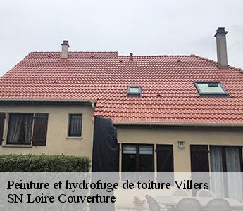 Peinture et hydrofuge de toiture 42460
