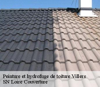 Peinture et hydrofuge de toiture