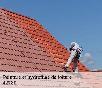 Peinture et hydrofuge de toiture  42780