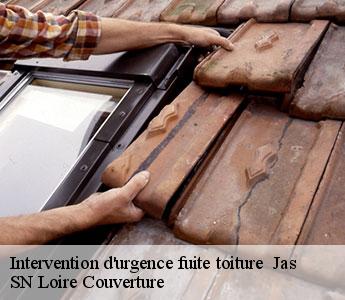 Intervention d'urgence fuite toiture   jas-42110 SN Loire Couverture 