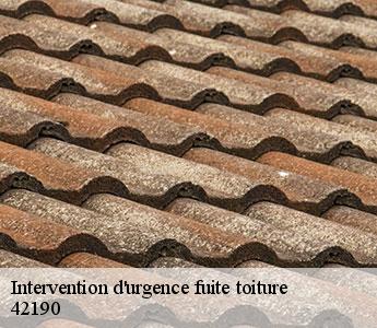 Intervention d'urgence fuite toiture 42190