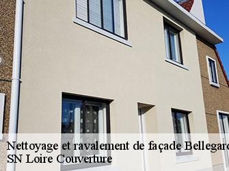 Nettoyage et ravalement de façade  bellegarde-en-forez-42210 SN Loire Couverture 