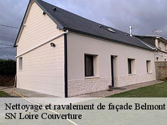 Nettoyage et ravalement de façade 42670