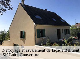 Nettoyage et ravalement de façade