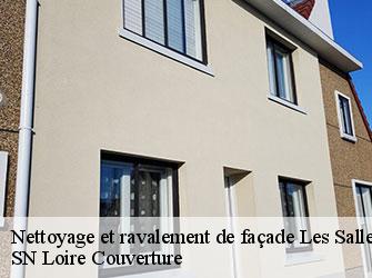 Nettoyage et ravalement de façade  les-salles-42440 SN Loire Couverture 