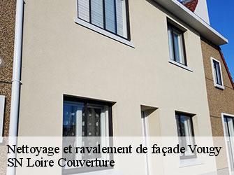 Nettoyage et ravalement de façade  vougy-42720 SN Loire Couverture 