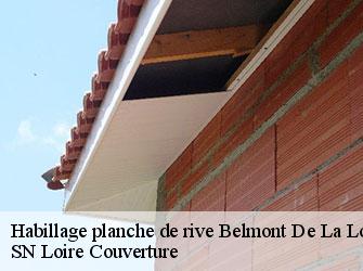 Habillage planche de rive 42670