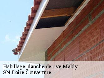 Habillage planche de rive  42300